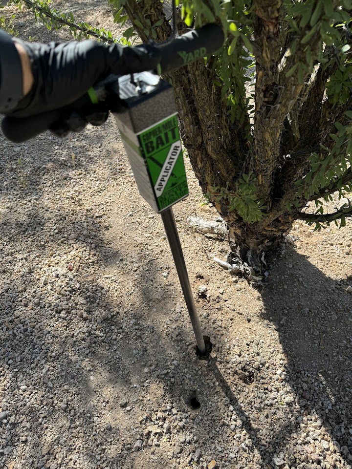 Exclusive Pest Solutions project